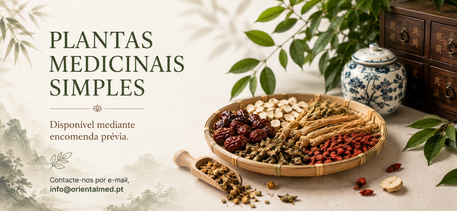 Plantas Medicinais